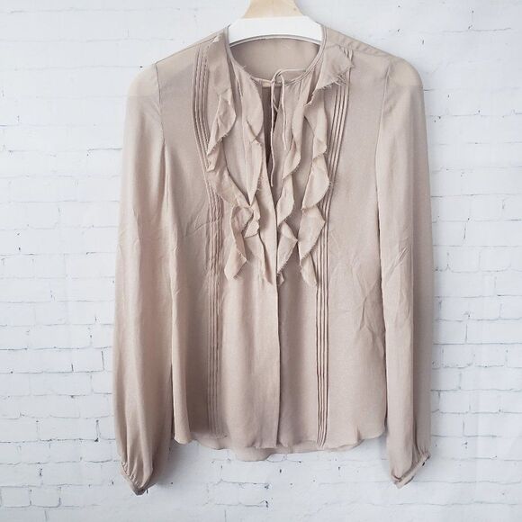 L'AGENCE 100% Silk Beige Ruffle Front Blouse Size 4 Shimmer Long Sleeve Pleats - Picture 2 of 11